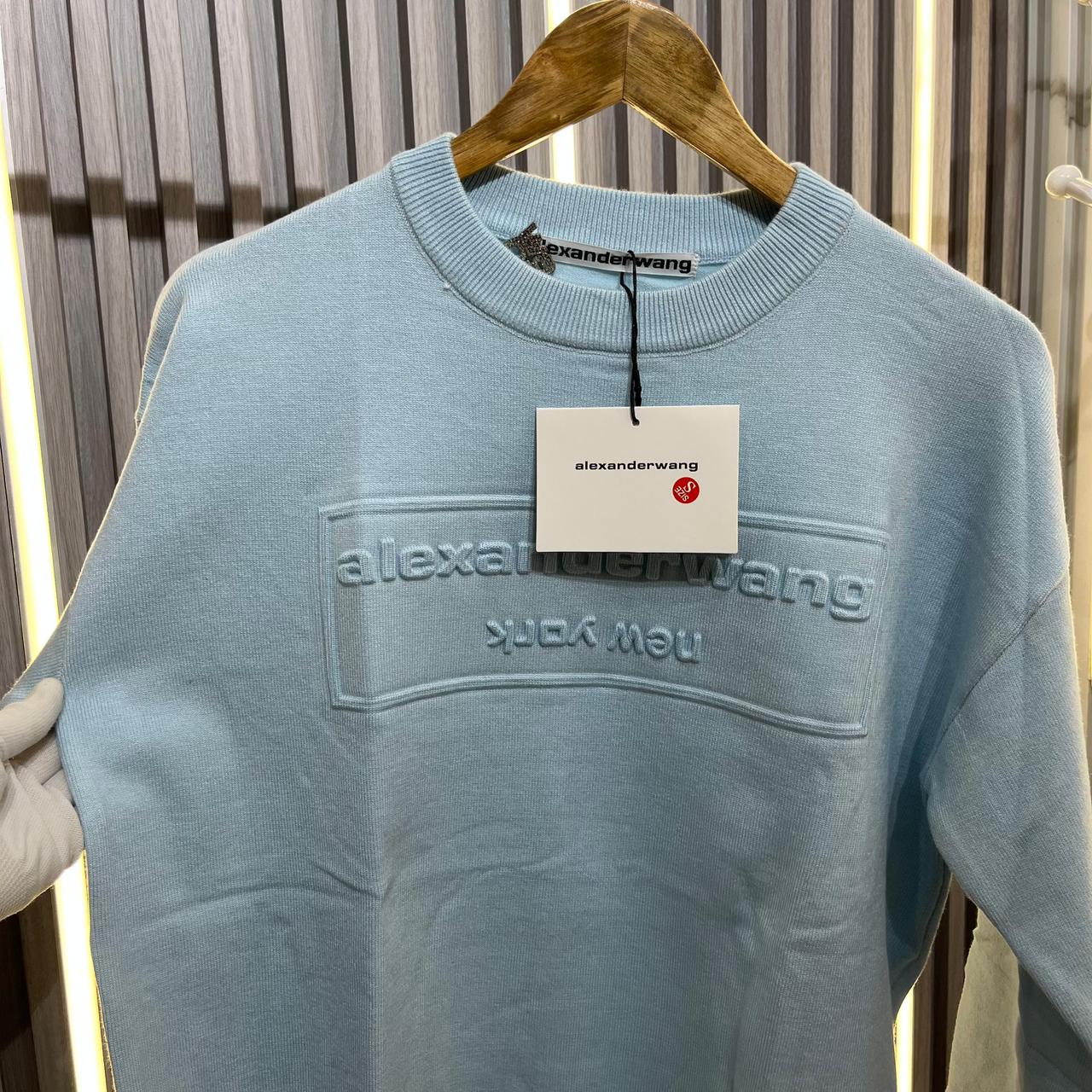 Alexander Wang Full Sleeve Blue Warm Pullover