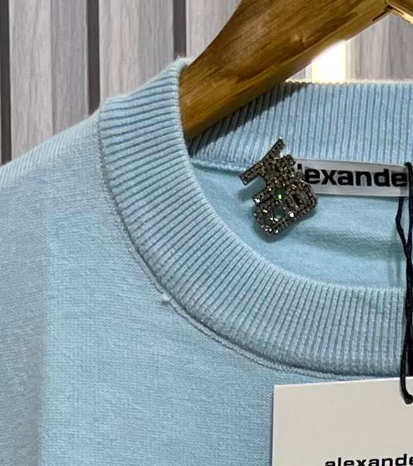 Alexander Wang Full Sleeve Blue Warm Pullover