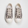 Christian Dior Walk N Dior Sneaker