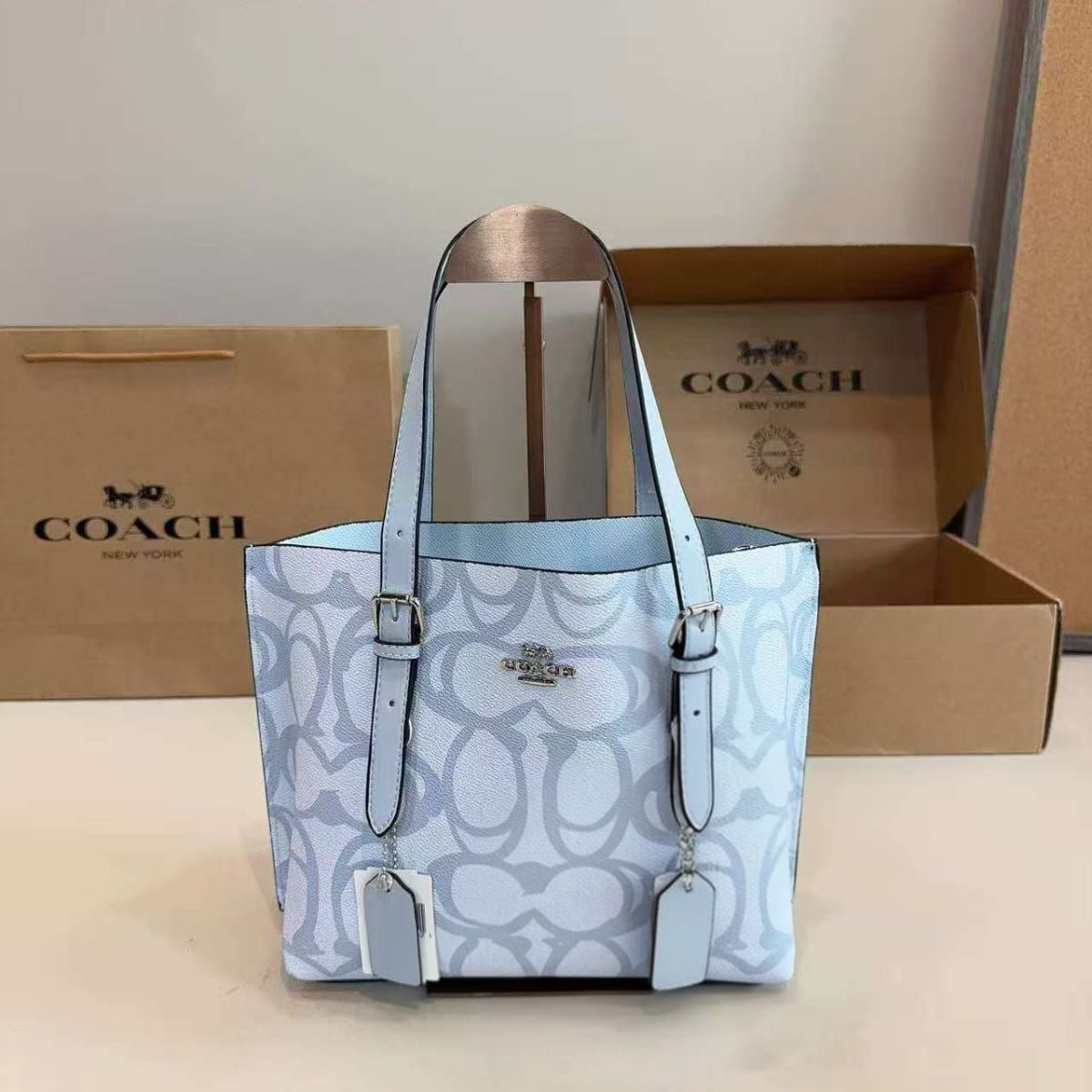 Coach Mollie 25 Blue Medium Tote (With Box)