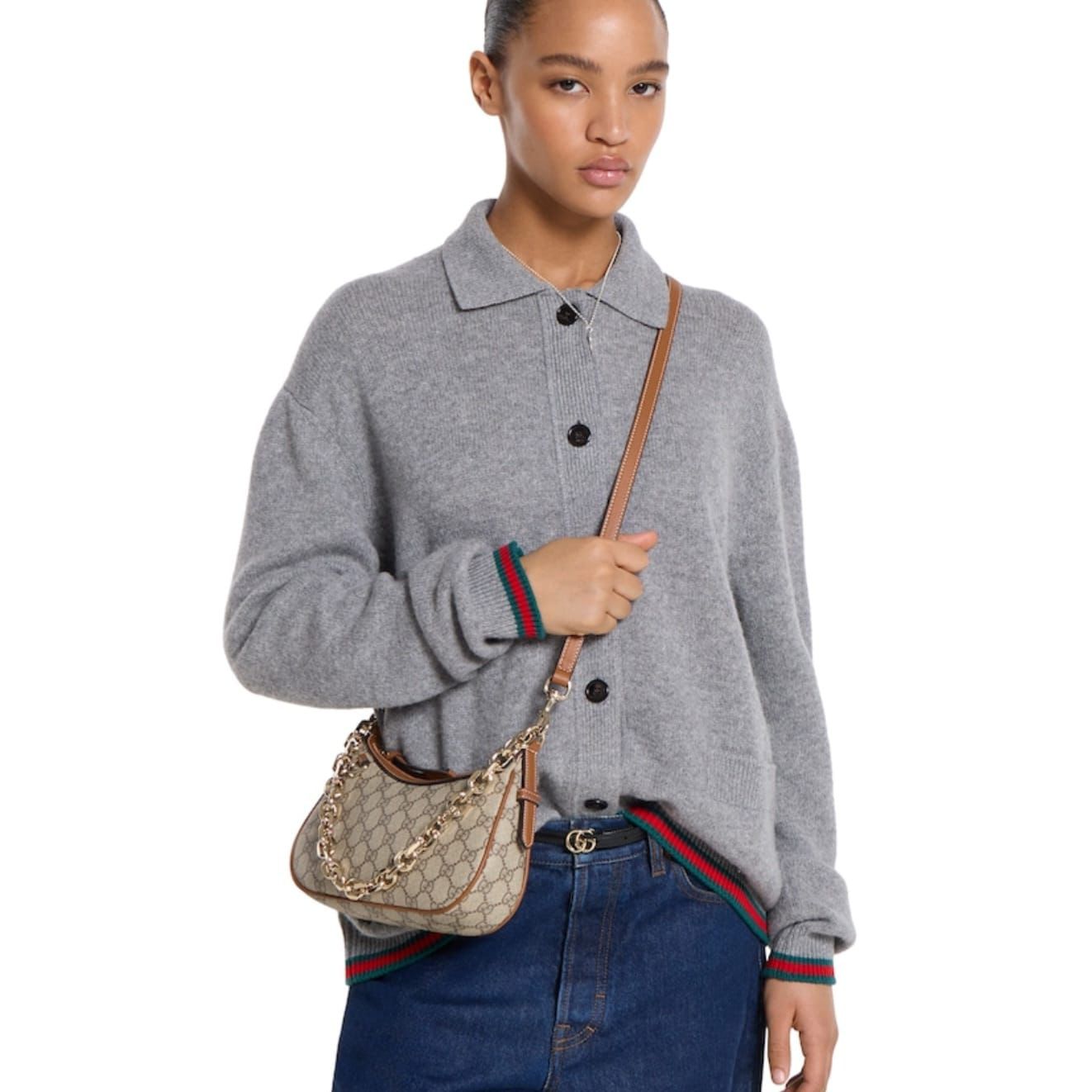 Gucci GG Beige Brown Small Shoulder Bag (Double Box)