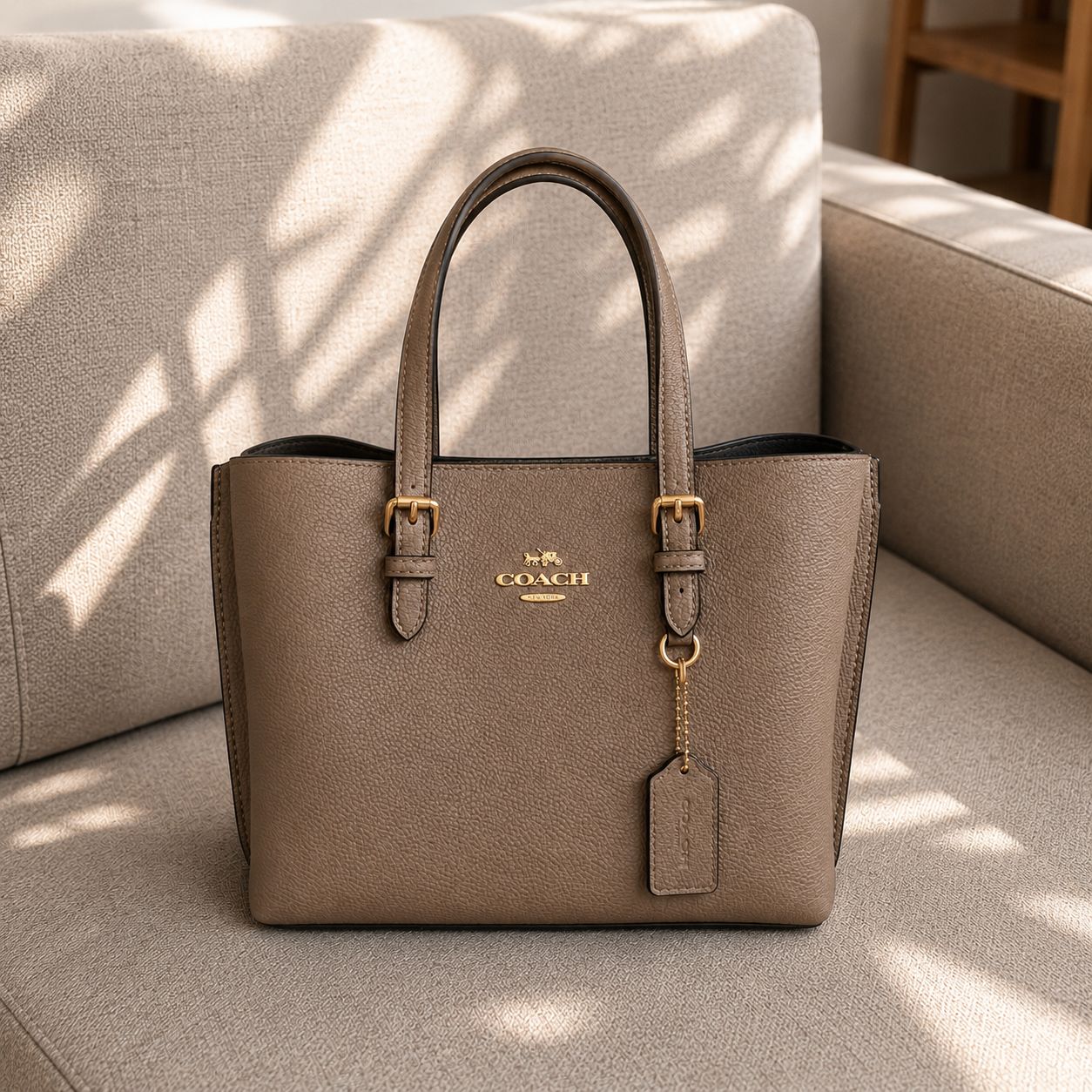 Coach Mollie 25 Khaki Tote Bag (With Box)
