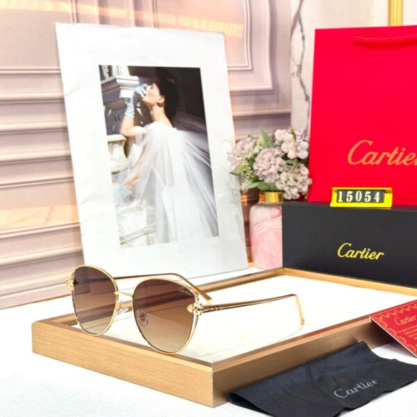 Cartier Oval Women’s Sunglass